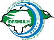 Logo IDESMULH